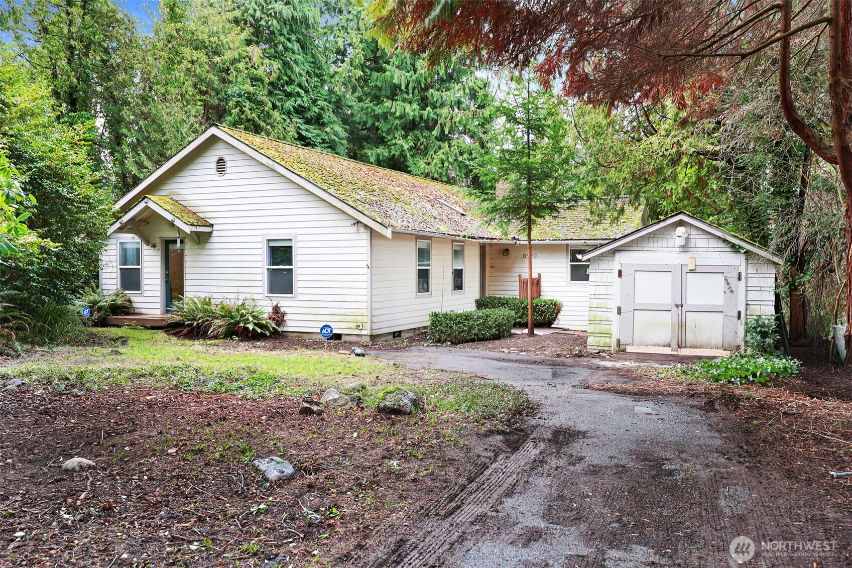 a view of a house with a yard and large tree