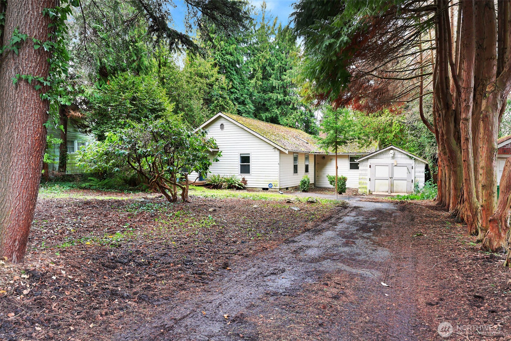 8529 29th Avenue Northwest Seattle, WA 98117 - Photo 22 of 23