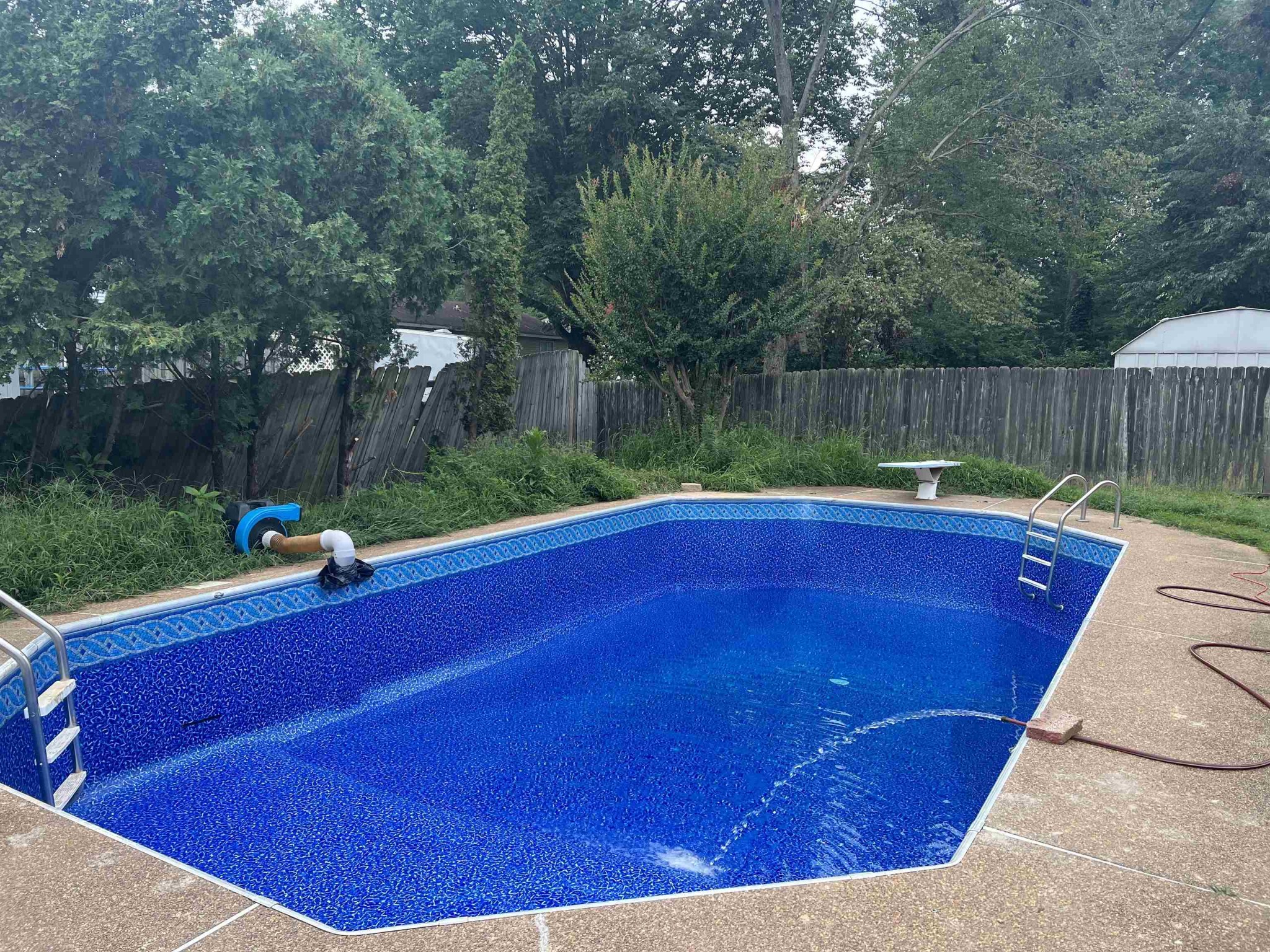 4182 Luther Road Memphis, TN 38135 - Photo 40 of 40 a view of swimming pool with a yard