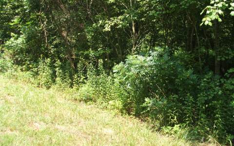Henson Road Hayesville, NC 28904 - Photo 1 of 1 Main View