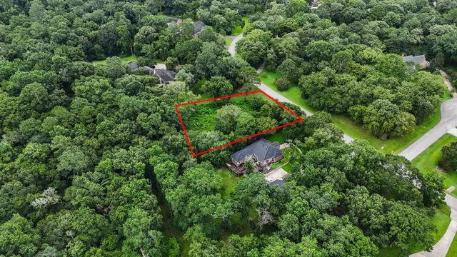 a view of a garden with plants