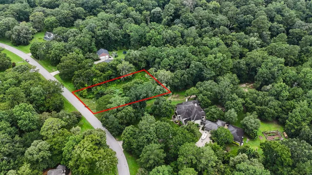 a view of a garden with plants