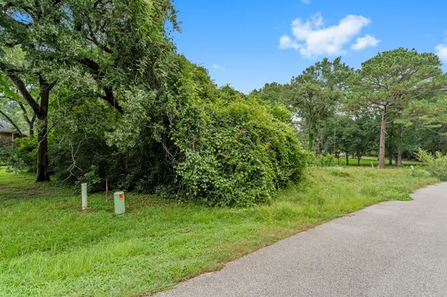 a view of a green field with a tree