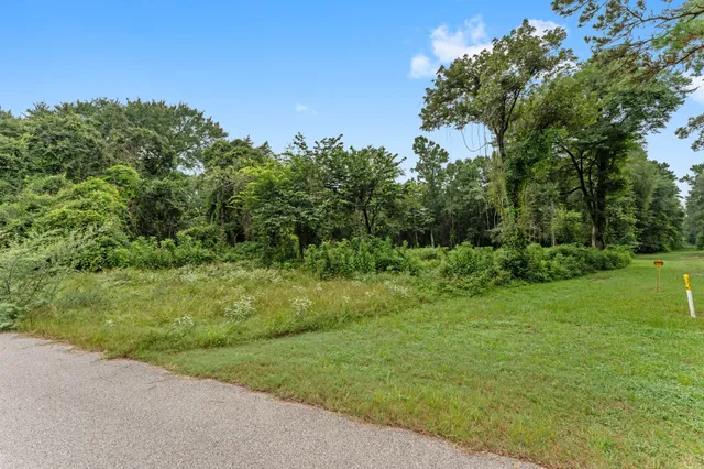 a view of a grassy field with trees in the background
