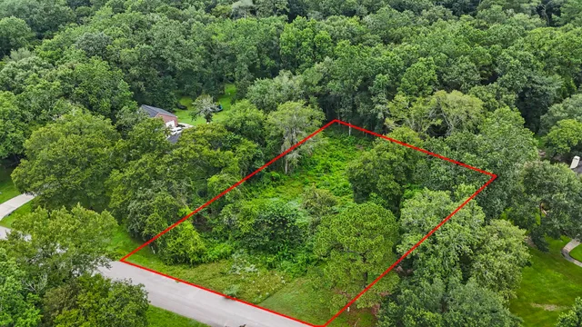 a view of a garden with plants