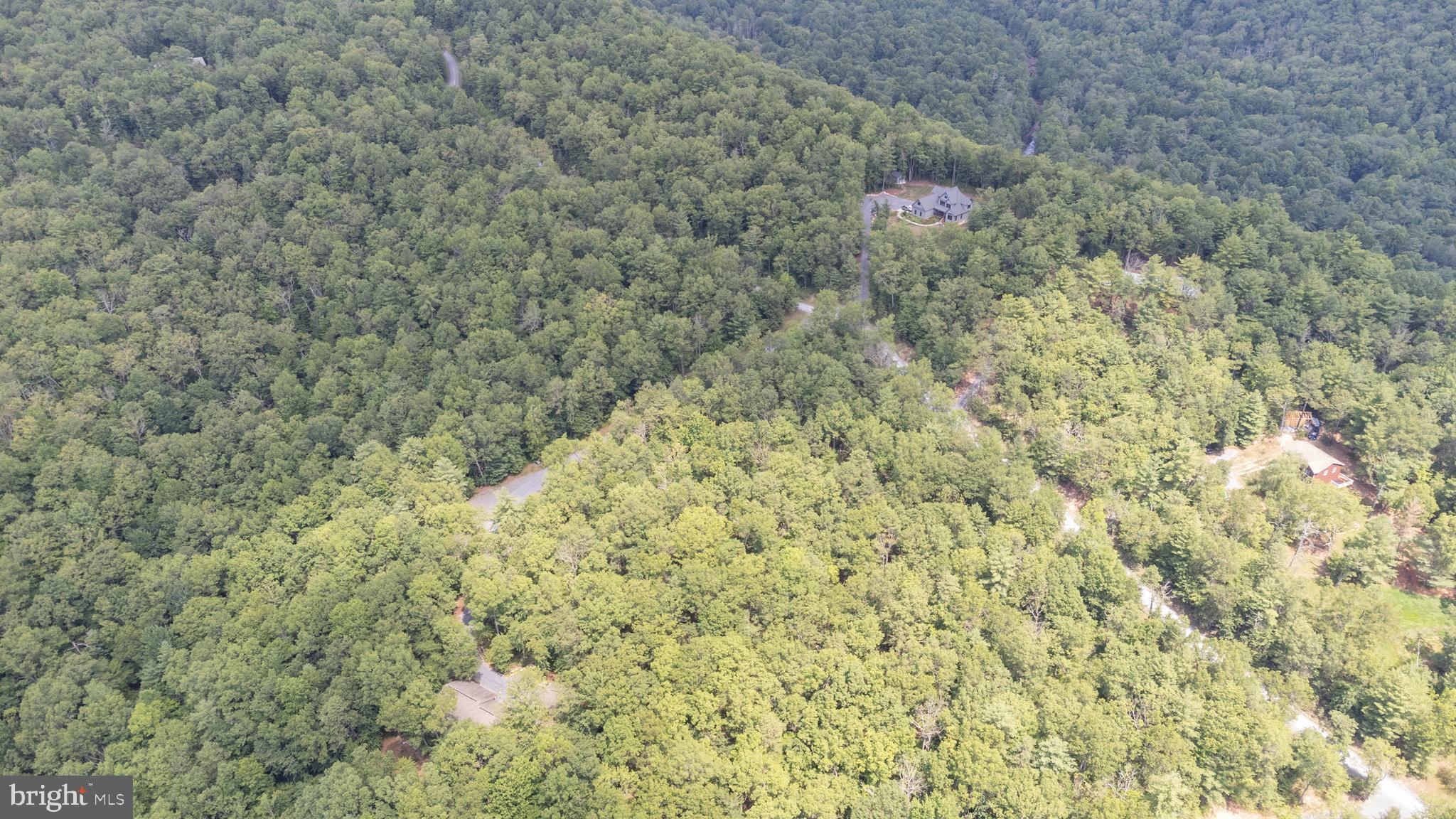 Tbd Birds Nest Road Hinton, VA 22831 - Photo 13 of 20 a close view of a forest