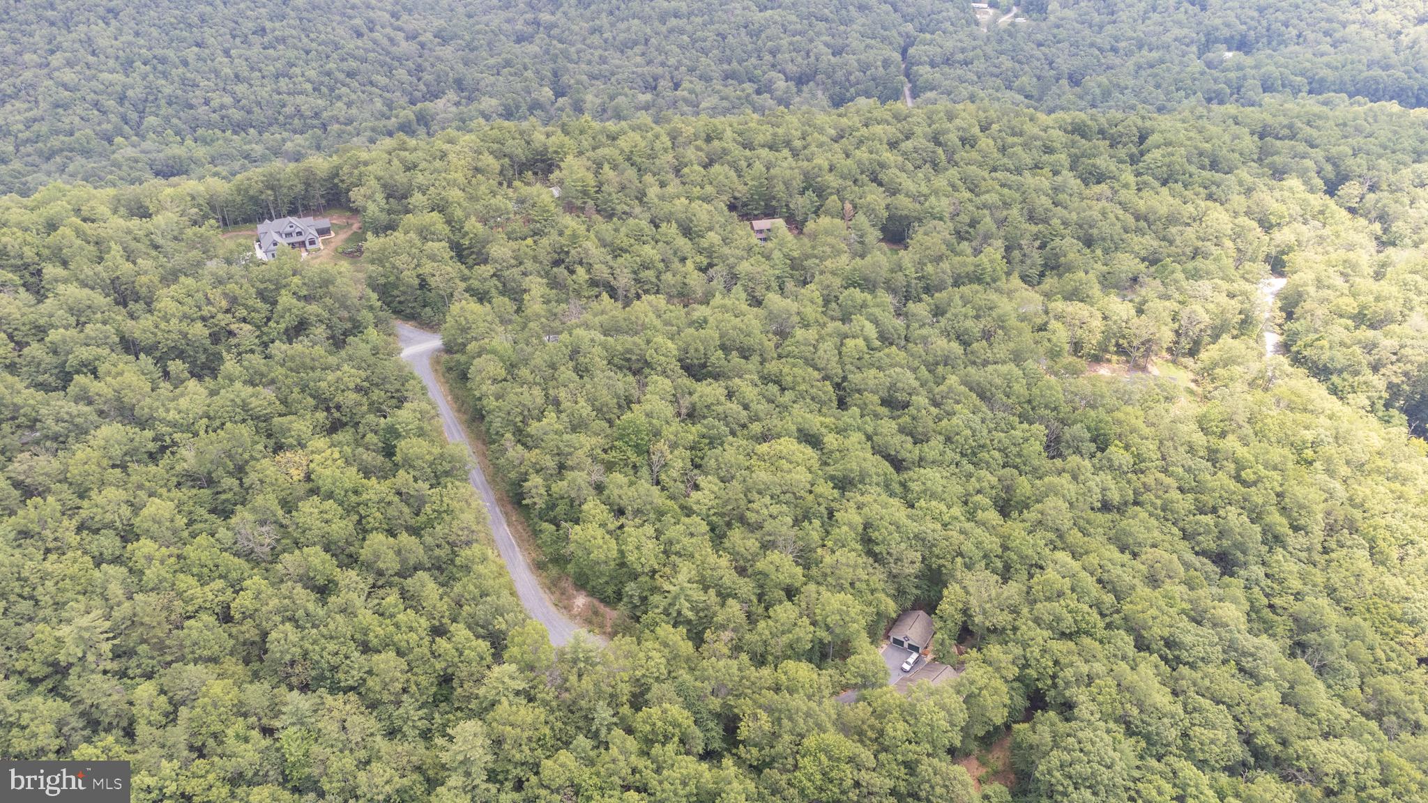 Tbd Birds Nest Road Hinton, VA 22831 - Photo 14 of 20 a close up of a plant