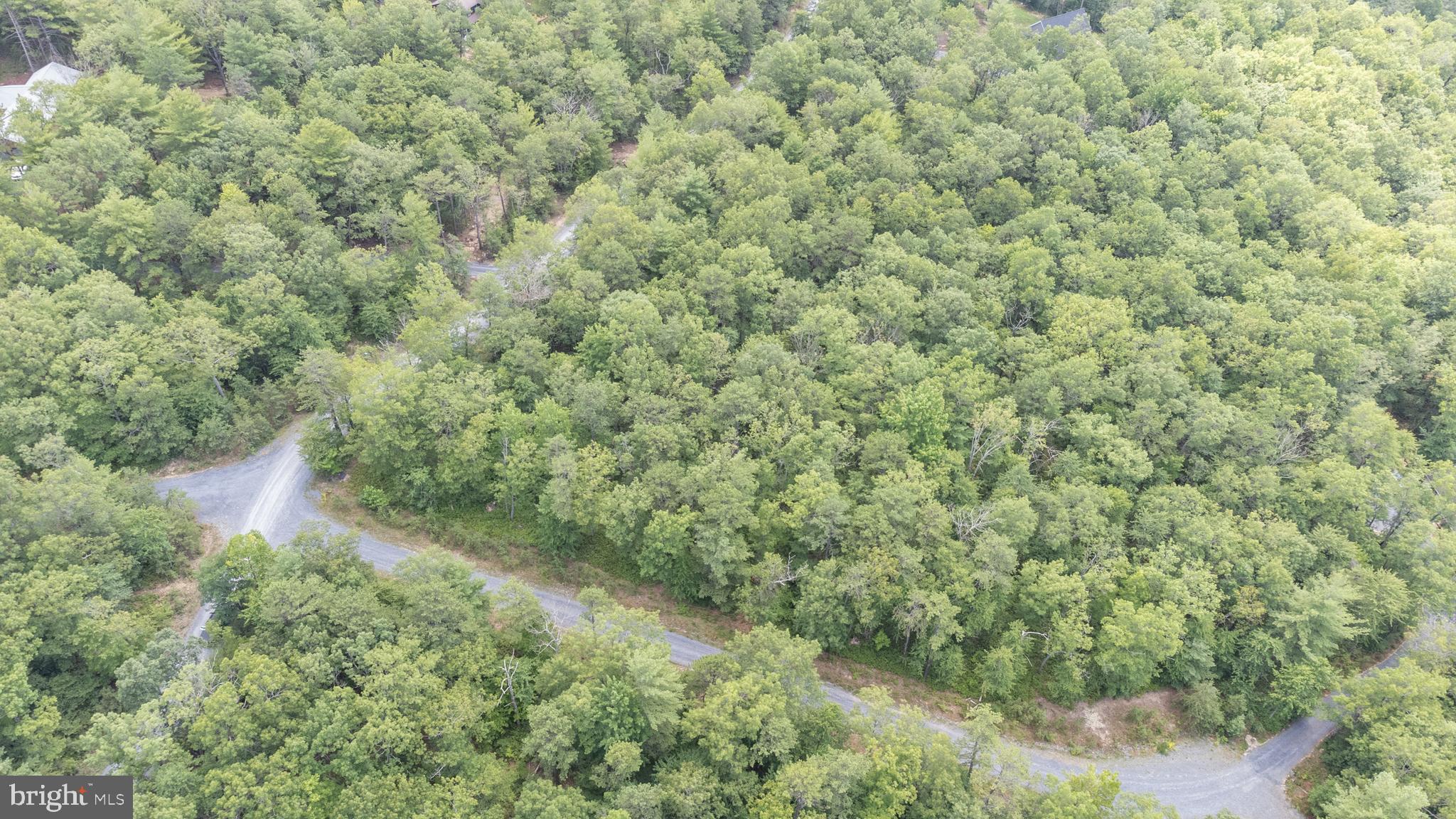Tbd Birds Nest Road Hinton, VA 22831 - Photo 16 of 20 a view of a field of grass and trees