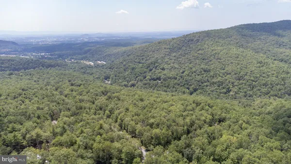 a view of a field with an ocean