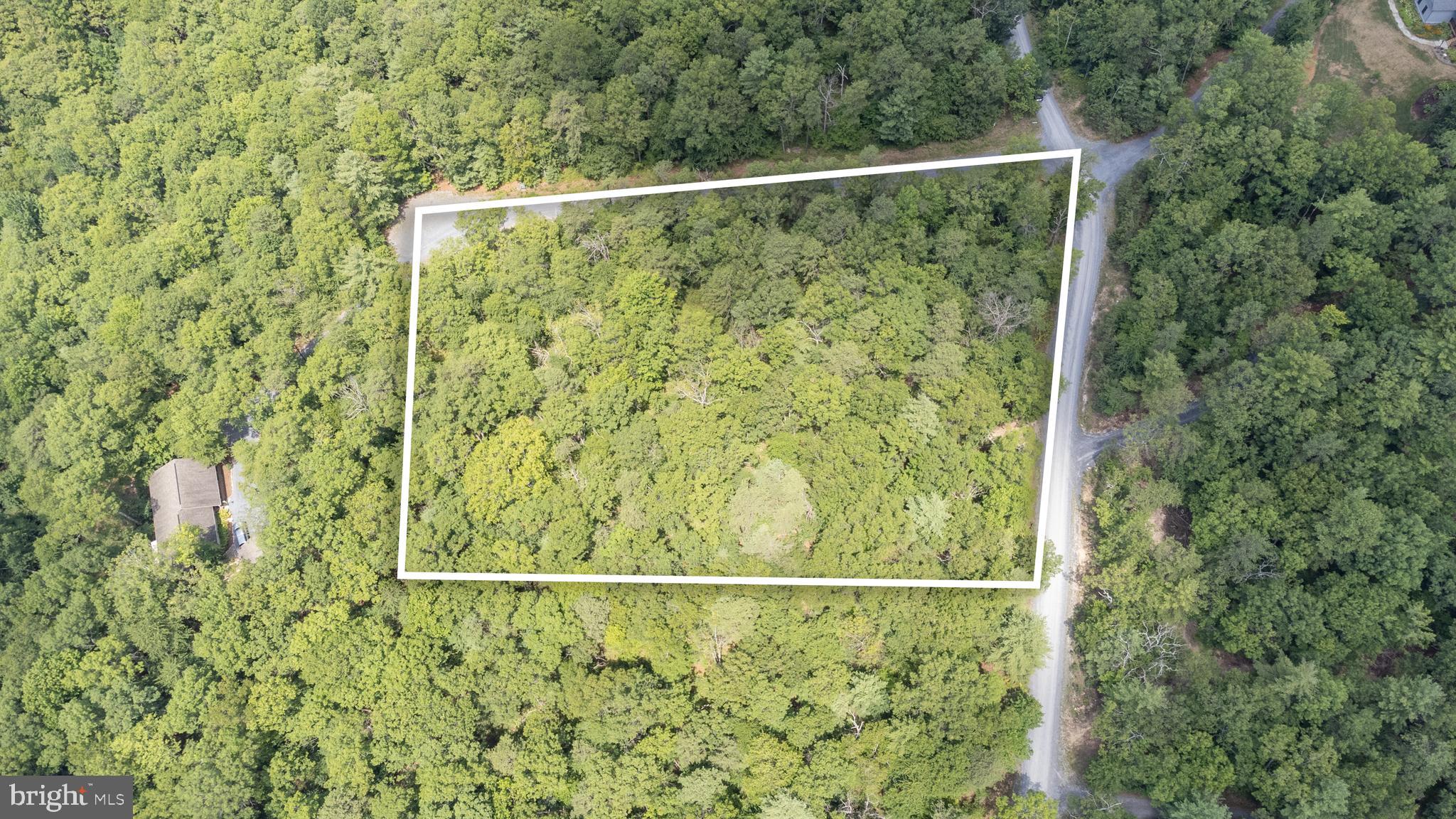 Tbd Birds Nest Road Hinton, VA 22831 - Photo 2 of 20 a view of a small yard