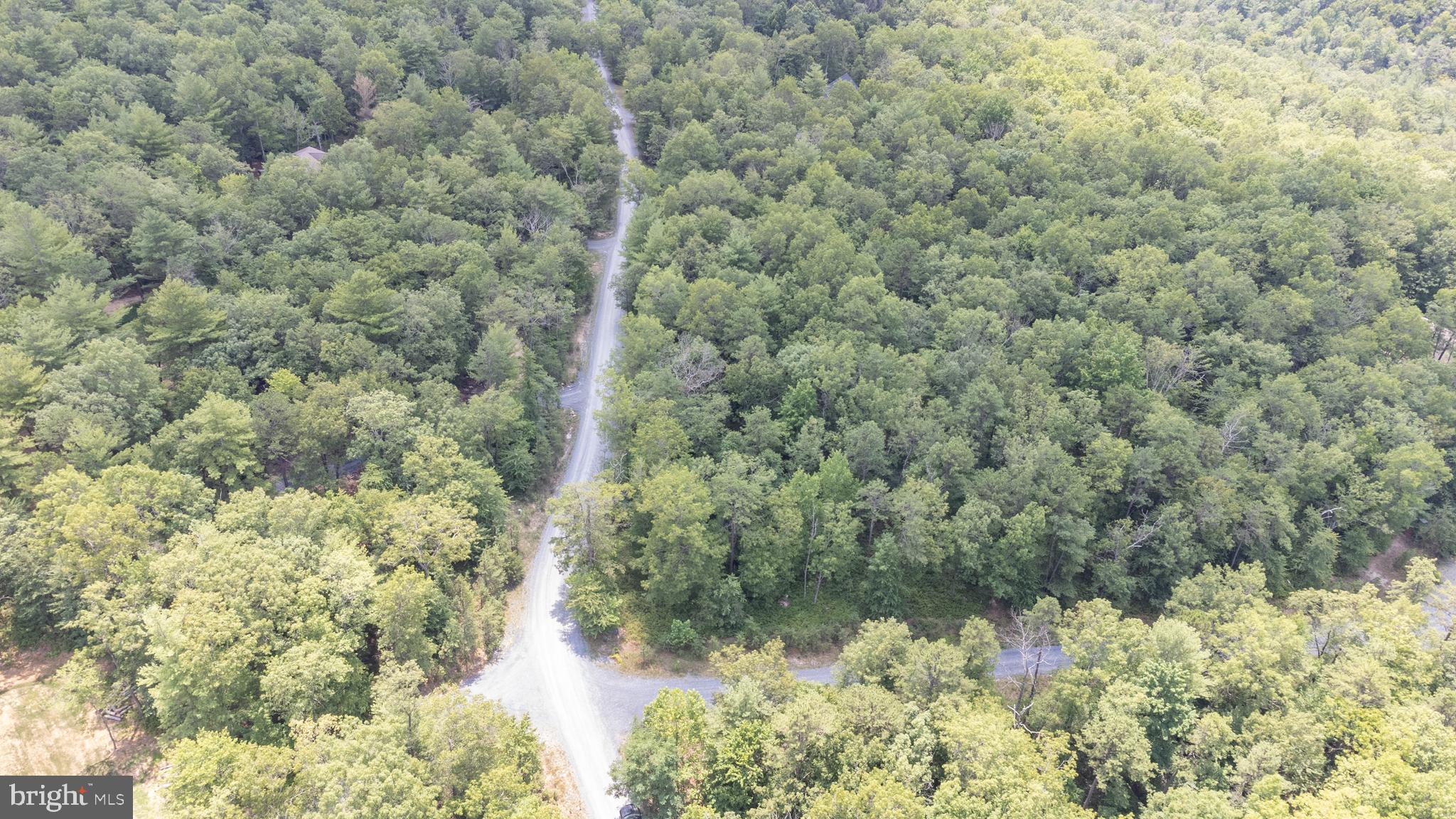 Tbd Birds Nest Road Hinton, VA 22831 - Photo 4 of 20 a view of a yard with a tree