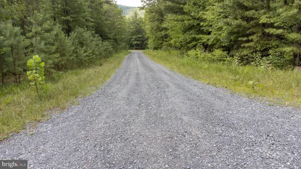 a view of a yard with a lake view