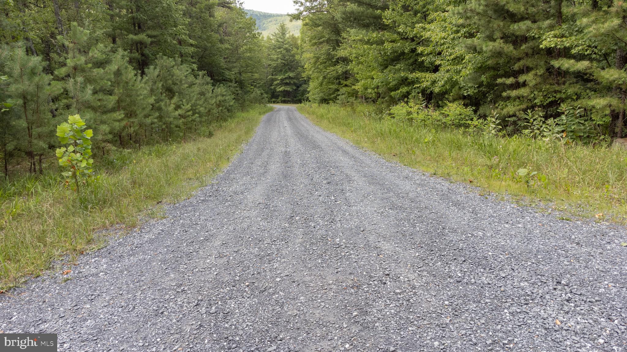 Tbd Birds Nest Road Hinton, VA 22831 - Photo 5 of 20 a view of a yard with a lake view