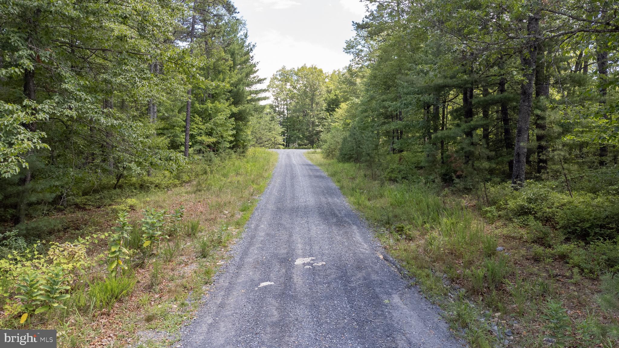 Tbd Birds Nest Road Hinton, VA 22831 - Photo 6 of 20 a view of a pathway with a park