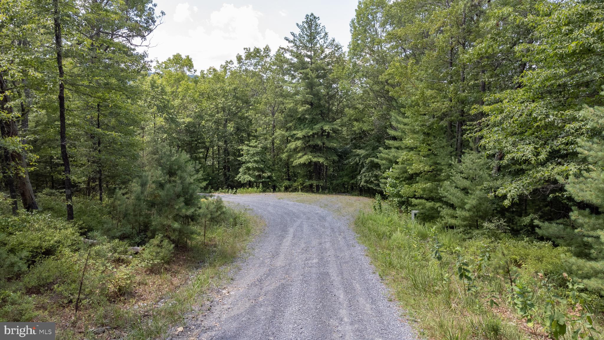 Tbd Birds Nest Road Hinton, VA 22831 - Photo 7 of 20 a view of a pathway both side of yard