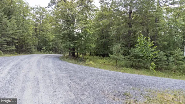 a view of backyard with green space