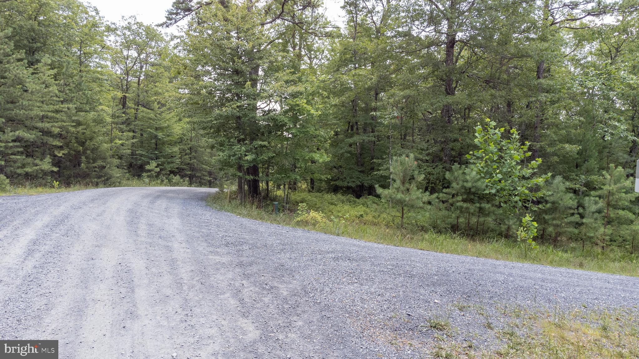Tbd Birds Nest Road Hinton, VA 22831 - Photo 8 of 20 a view of backyard with green space