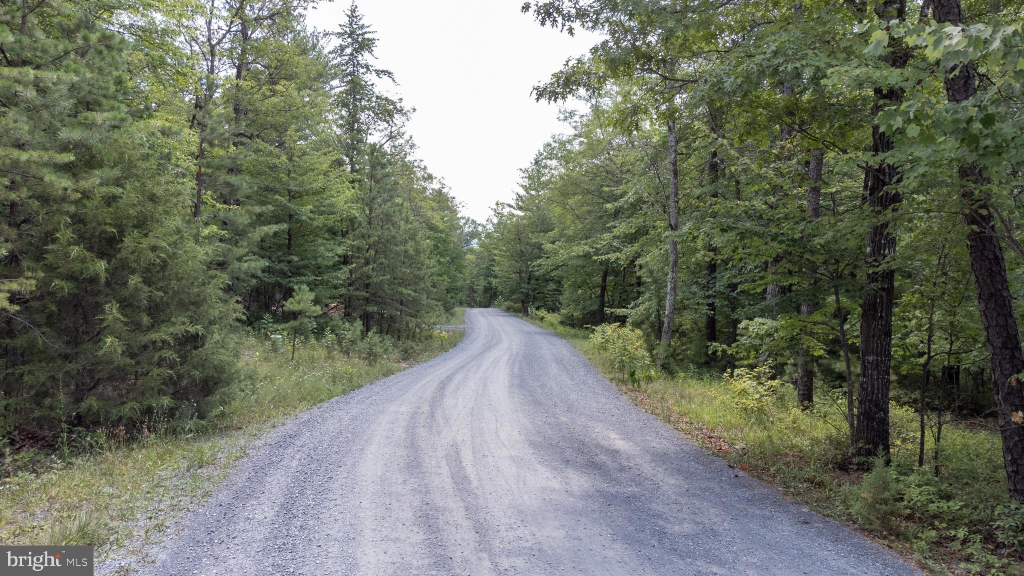 Tbd Birds Nest Road Hinton, VA 22831 - Photo 9 of 20 a view of a street view