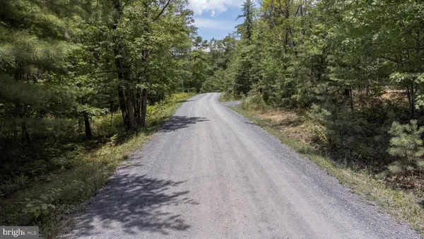 a view of a dirt road with trees in the background