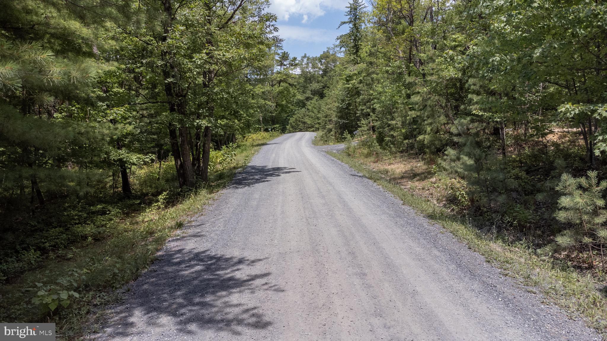 Tbd Birds Nest Road Hinton, VA 22831 - Photo 10 of 20 a view of a dirt road with trees in the background
