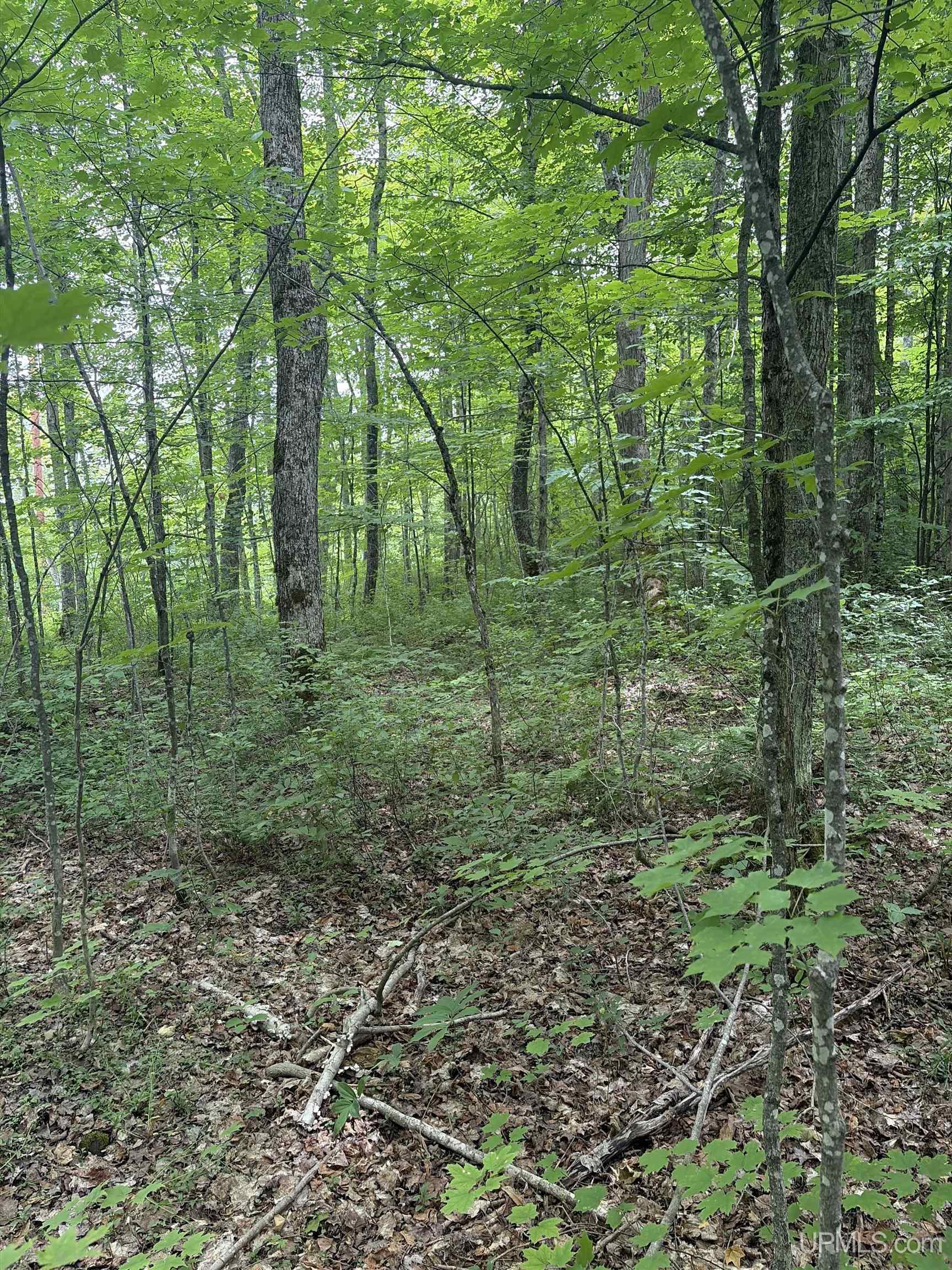 Tbd Old Us2 Road Wakefield, MI 49968 - Photo 5 of 8