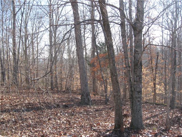 4441 Tarsus Road Palmyra, TN 37142 - Photo 3 of 4 Gallery Image 3