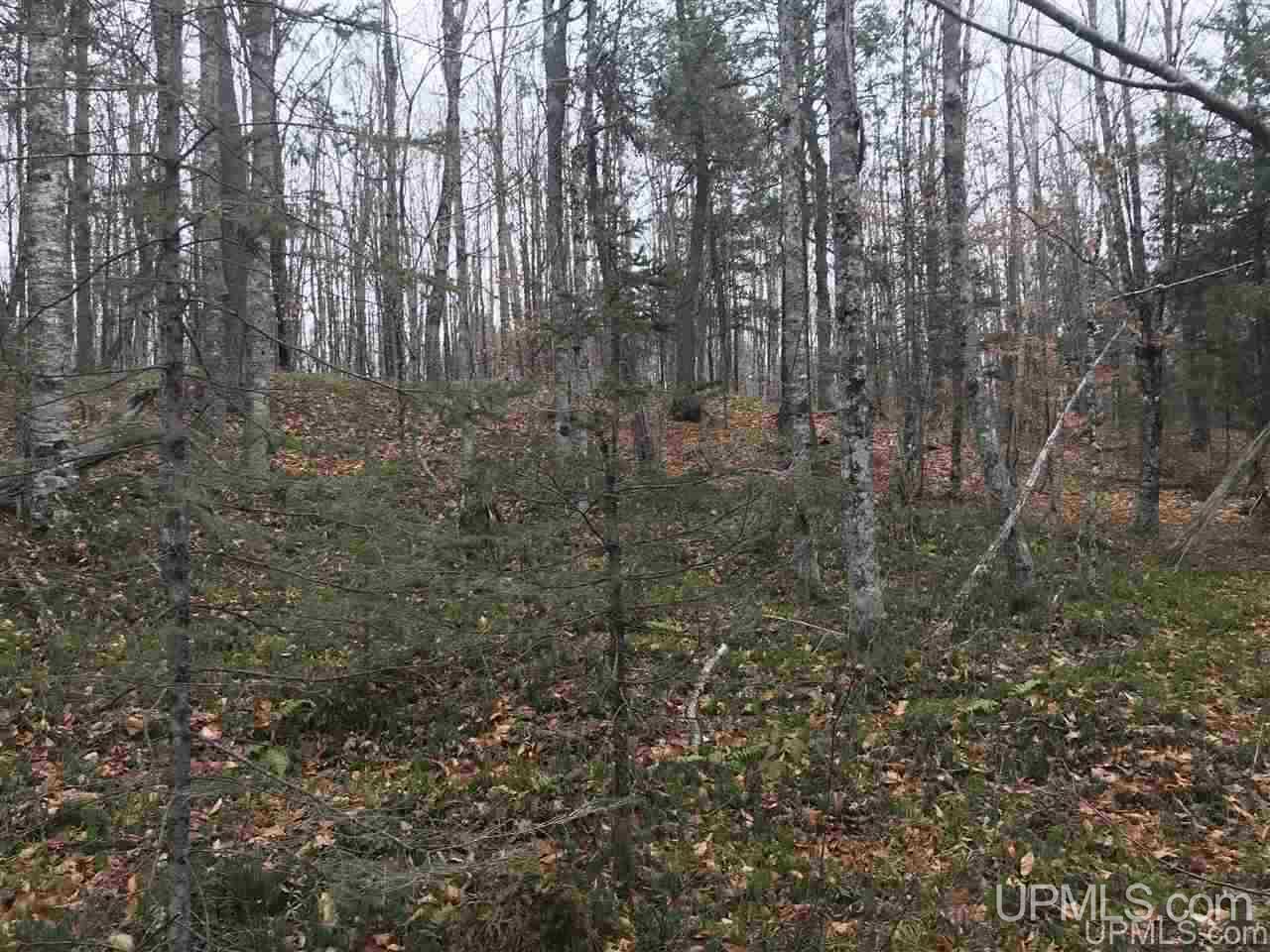 Tbd Off River Road, Unit 2 Hermansville, MI 49847 - Photo 17 of 34