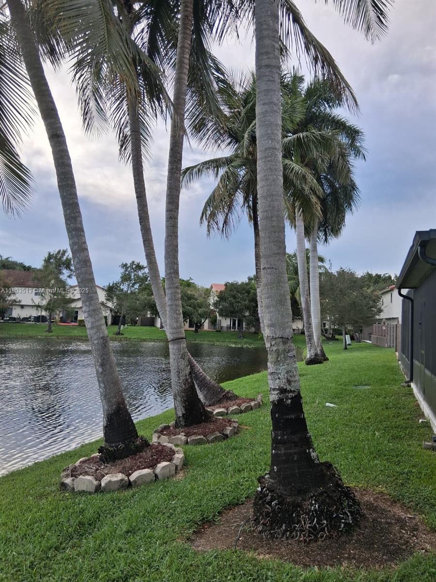 10830 Northwest 8th Street Pembroke Pines, FL 33026 - Photo 48 of 69 a view of a garden with a tree