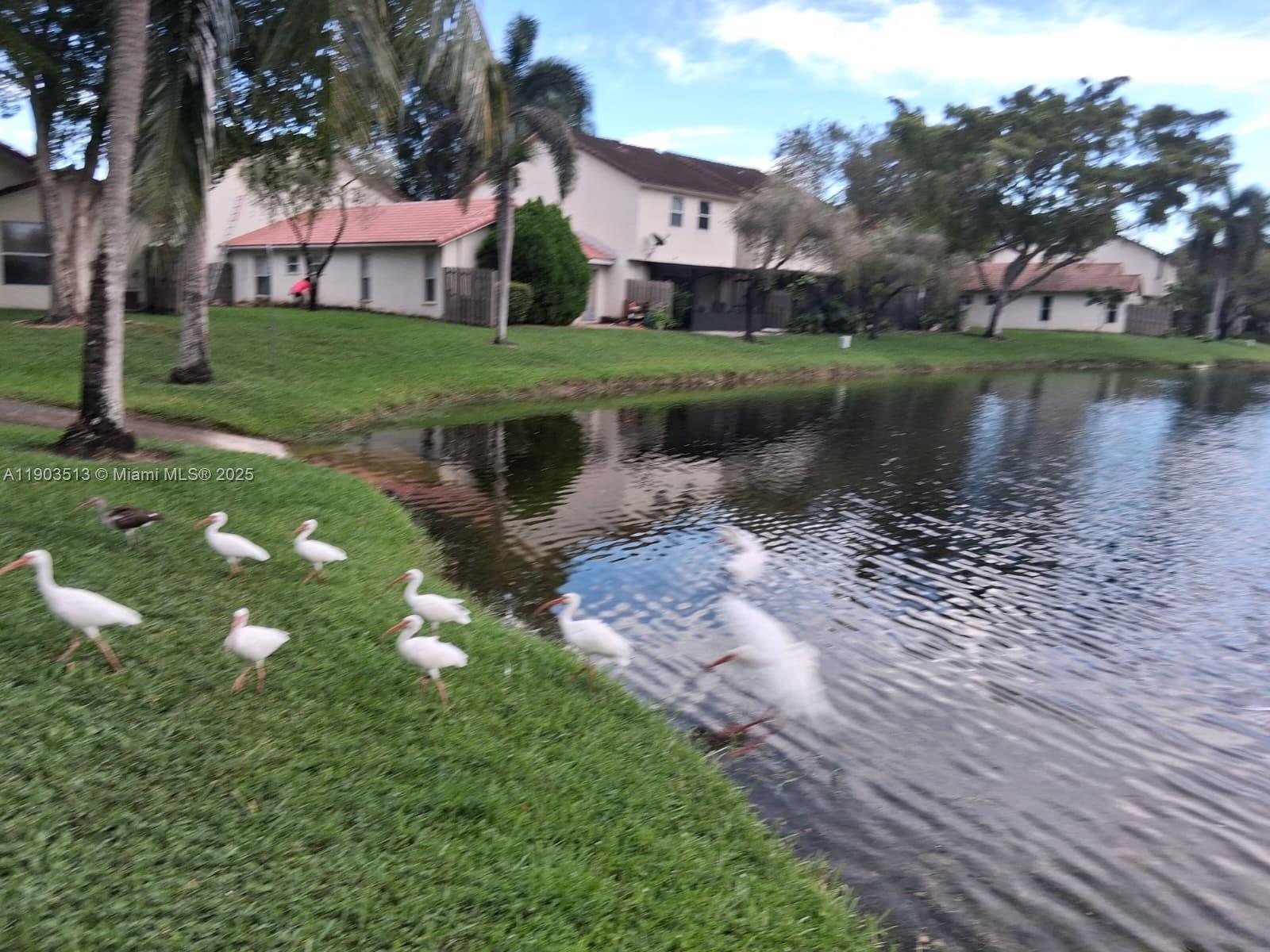 10830 Northwest 8th Street Pembroke Pines, FL 33026 - Photo 59 of 69 a view of a house with a yard and a pond