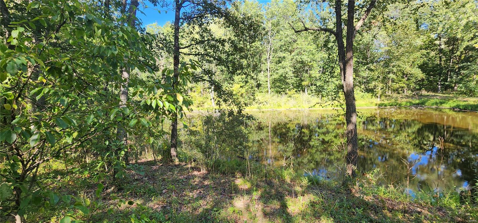 4276 Swanwick-Rice Road Pinckneyville, IL 62274 - Photo 13 of 32