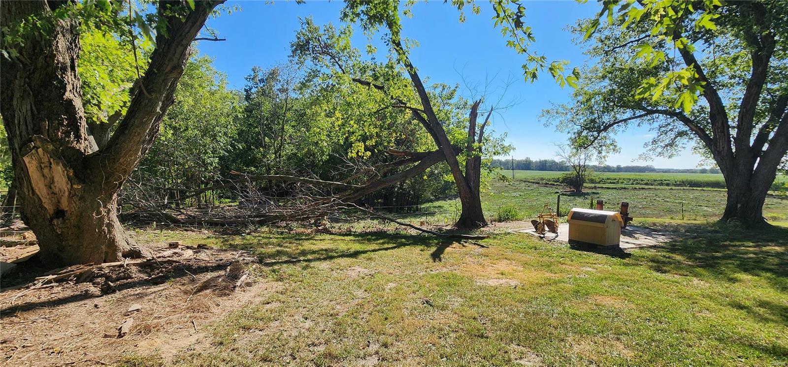 4276 Swanwick-Rice Road Pinckneyville, IL 62274 - Photo 17 of 32