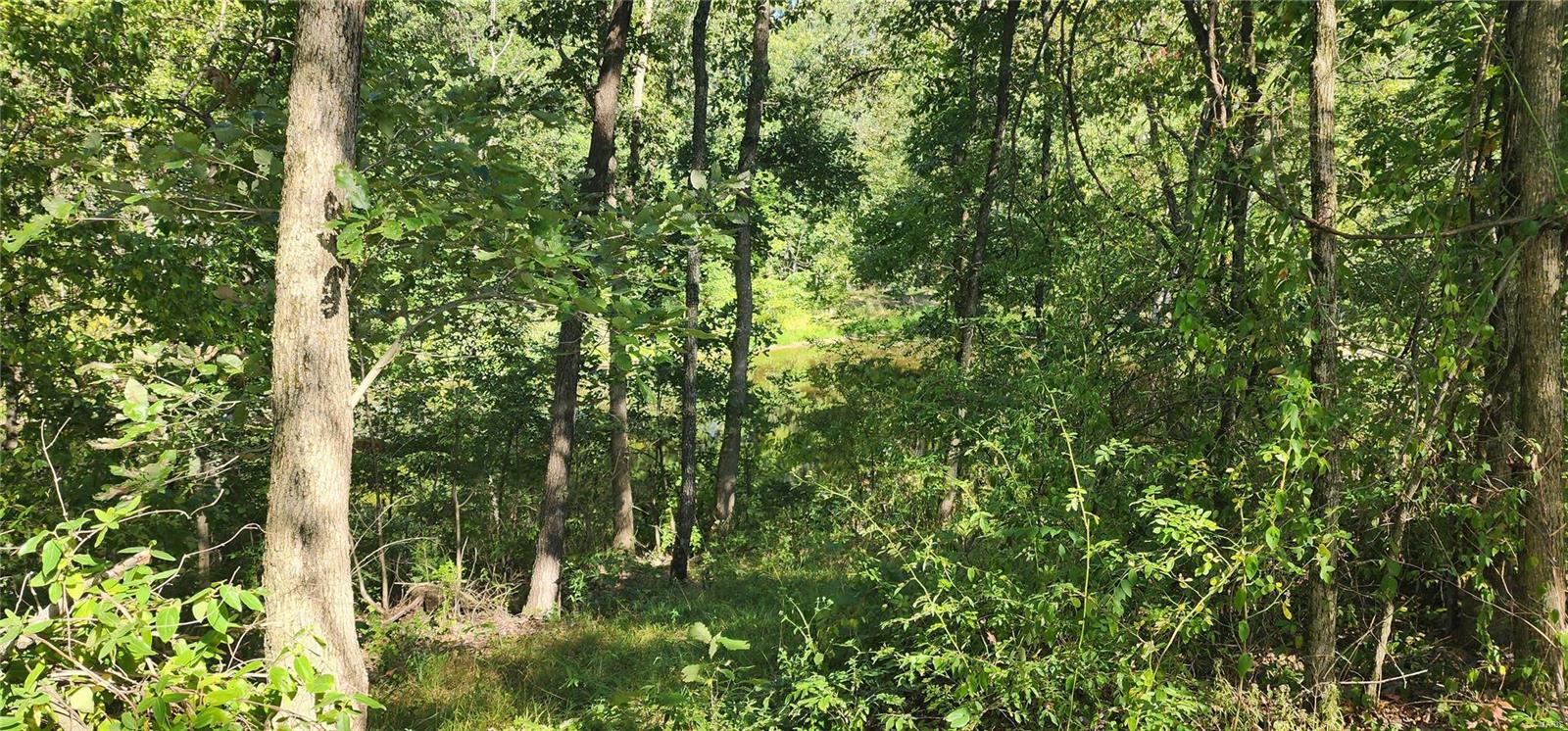 4276 Swanwick-Rice Road Pinckneyville, IL 62274 - Photo 8 of 32