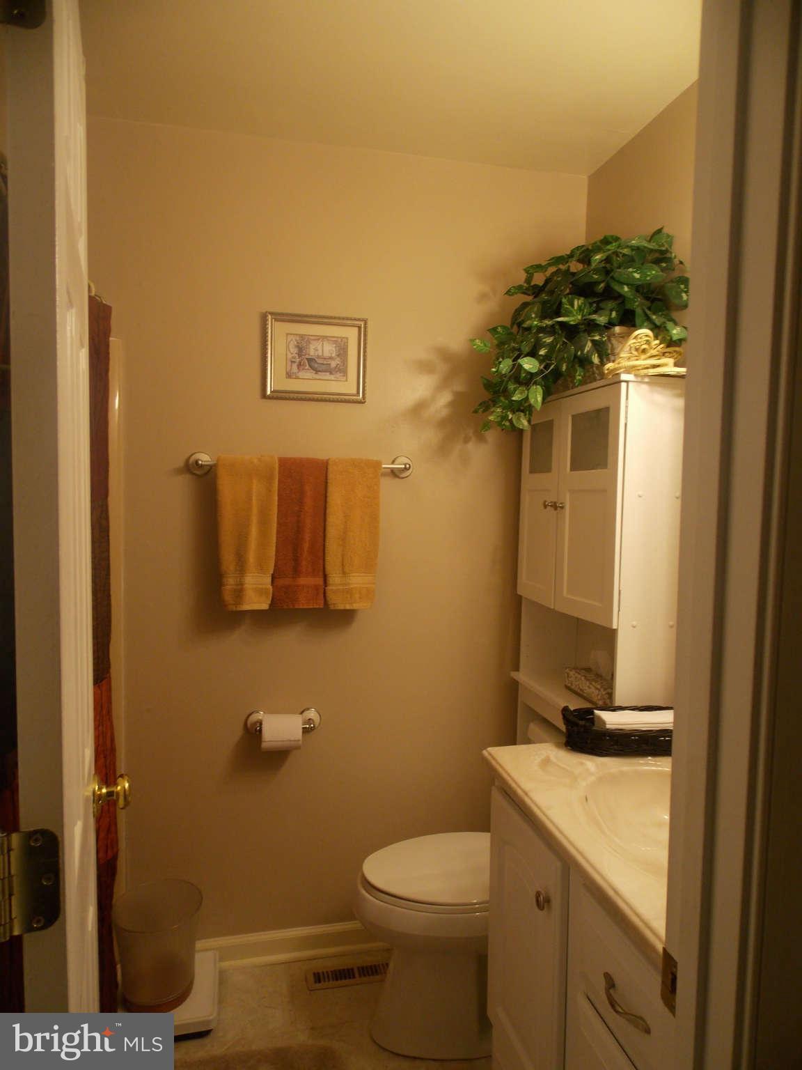 4406 Barnaby Road Southeast Washington, DC 20032 - Photo 12 of 17 Bath