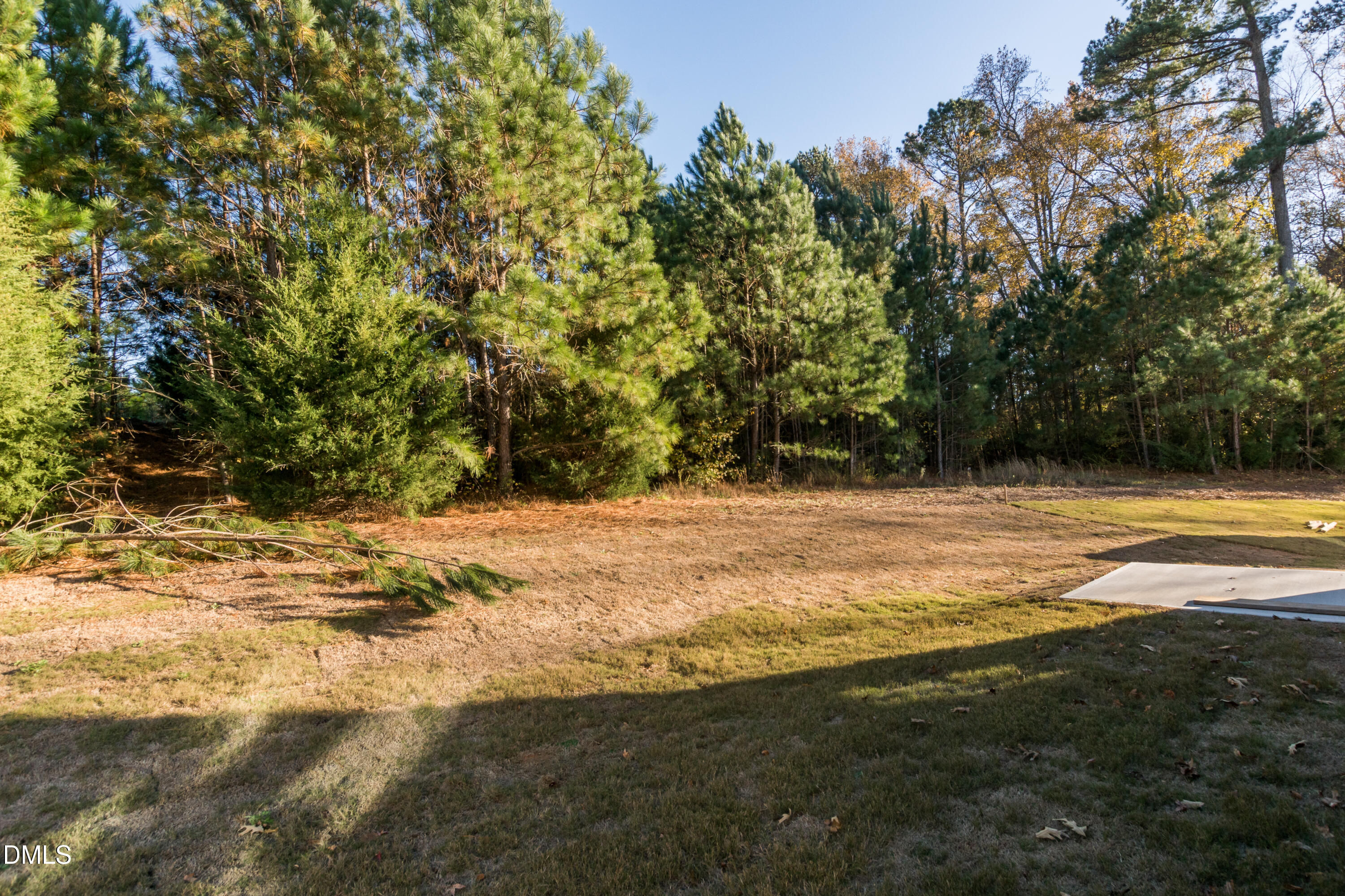 175 Starlet Rdg Way Clayton, NC 27520 - Photo 19 of 19 024_Backyard