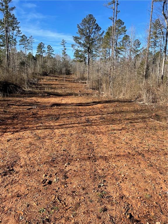 1234 Cheek Road Monroe, GA 30655 - Photo 1 of 1