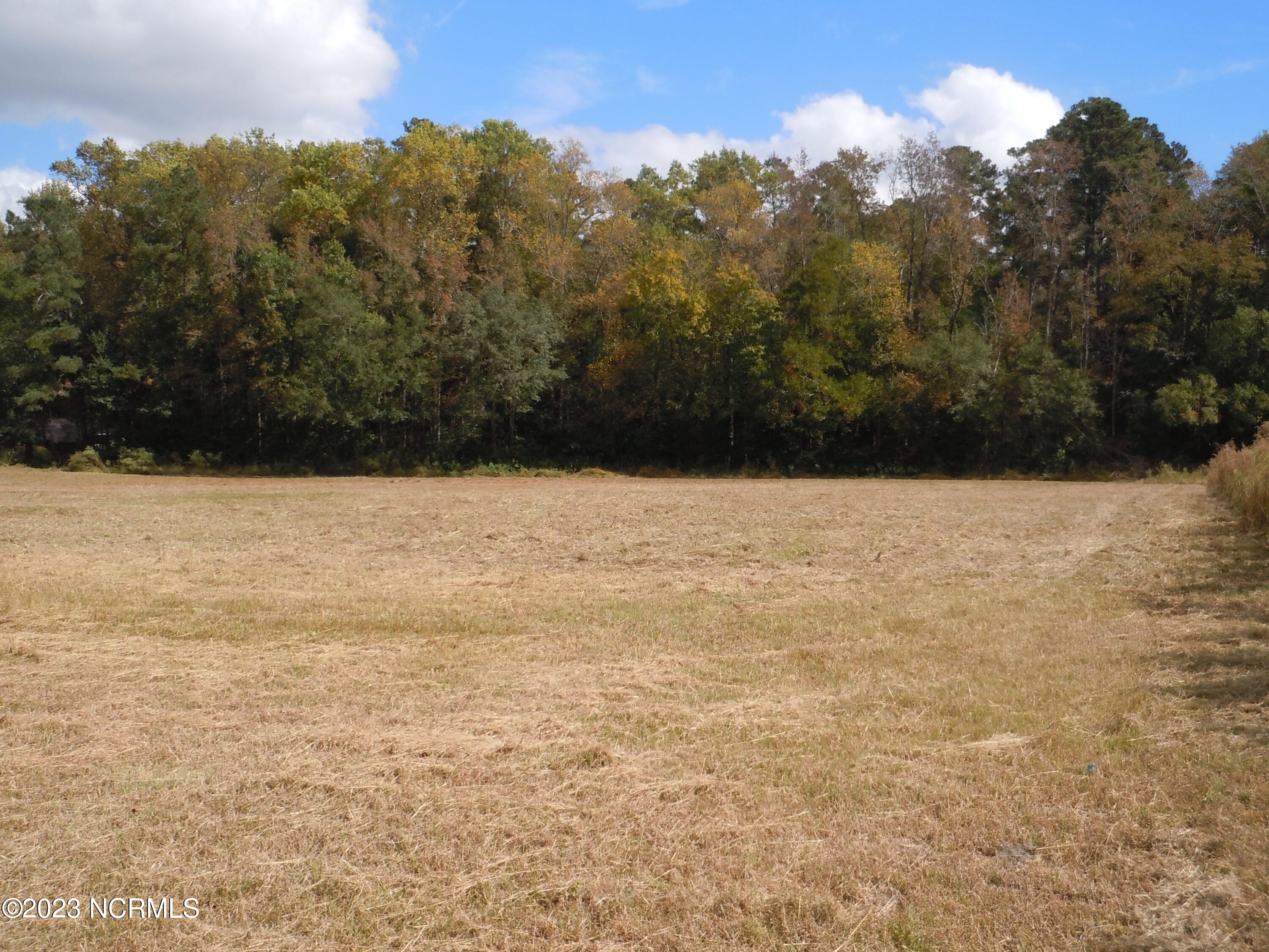 900 Stake Road Tabor City, NC 28463 - Photo 1 of 6 DSCN7993