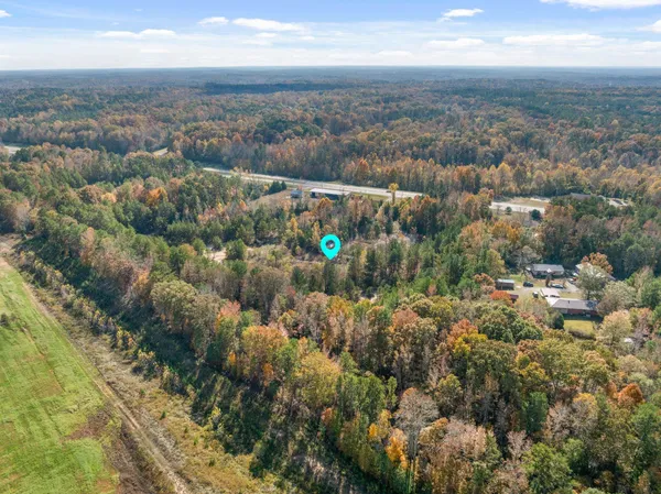 a view of city and green space