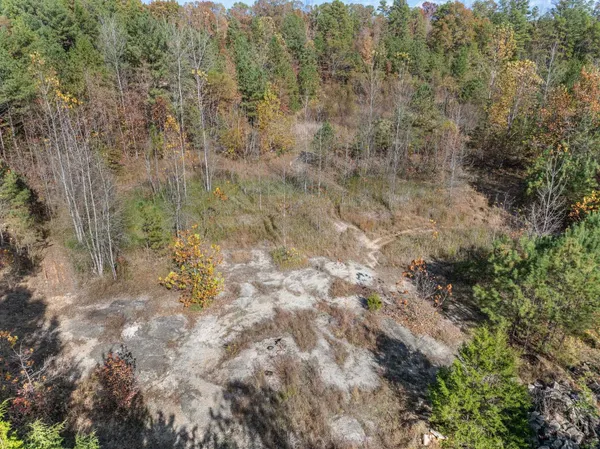 a view of a forest with trees