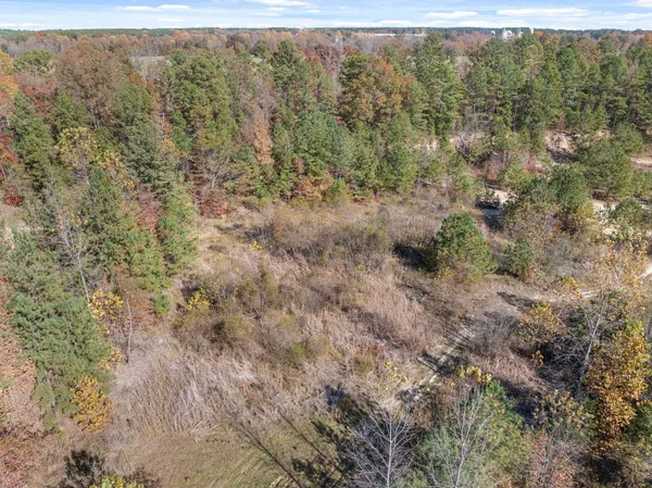 a view of a forest with trees in the background