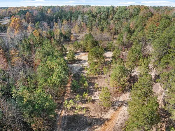 a view of a lush green forest with houses