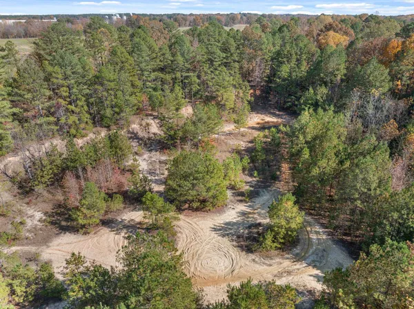a view of a garden from a balcony