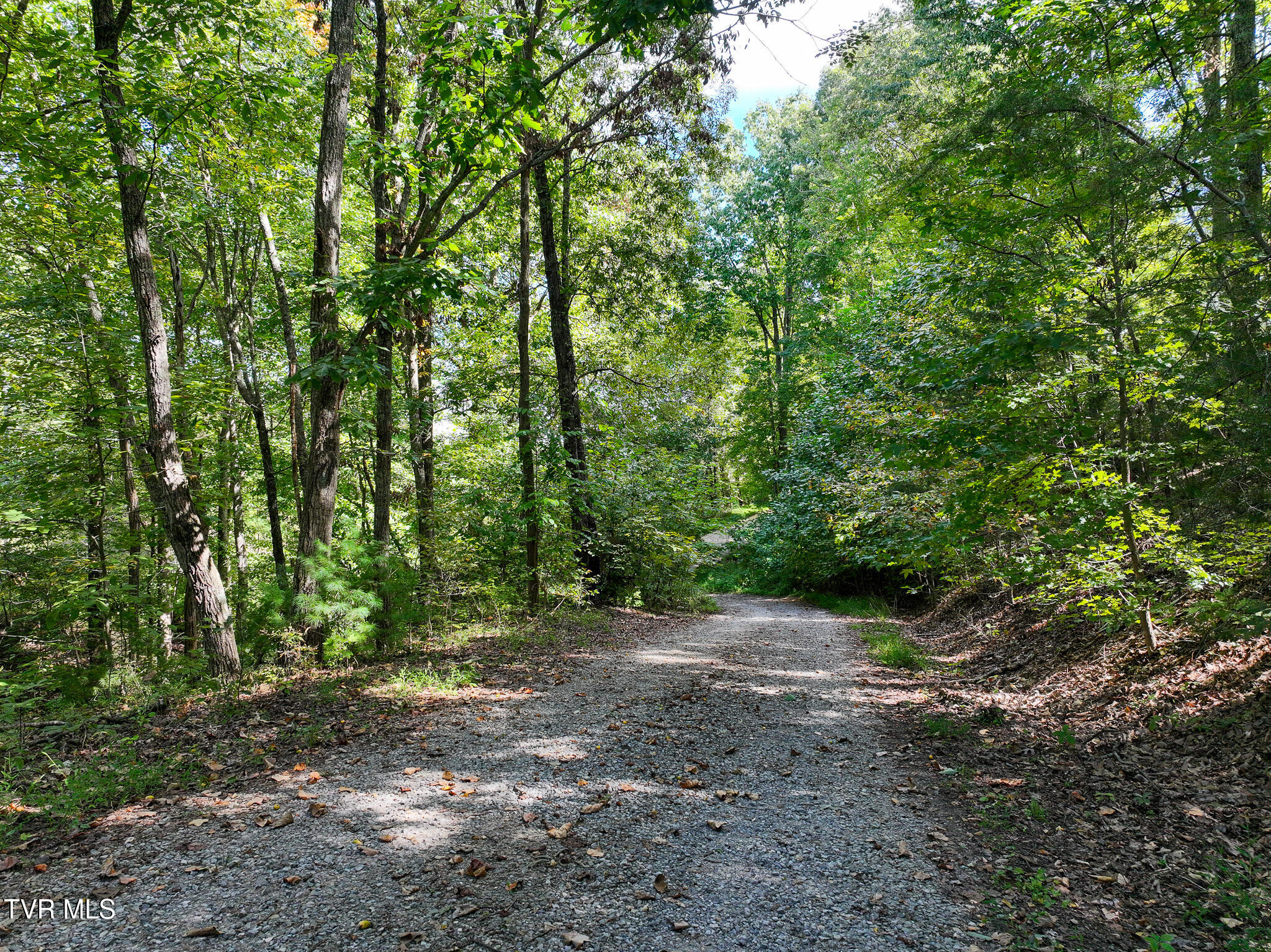 250 Bill Martin Road Afton, TN 37616 - Photo 4 of 23 4