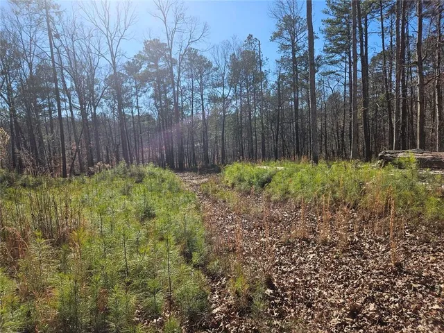 $55,000 | 0 Glen Road Northeast, Conyers, GA 30013