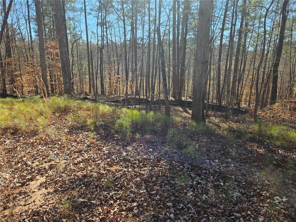 0 Glen Road Northeast Conyers, GA 30013 - Photo 2 of 6