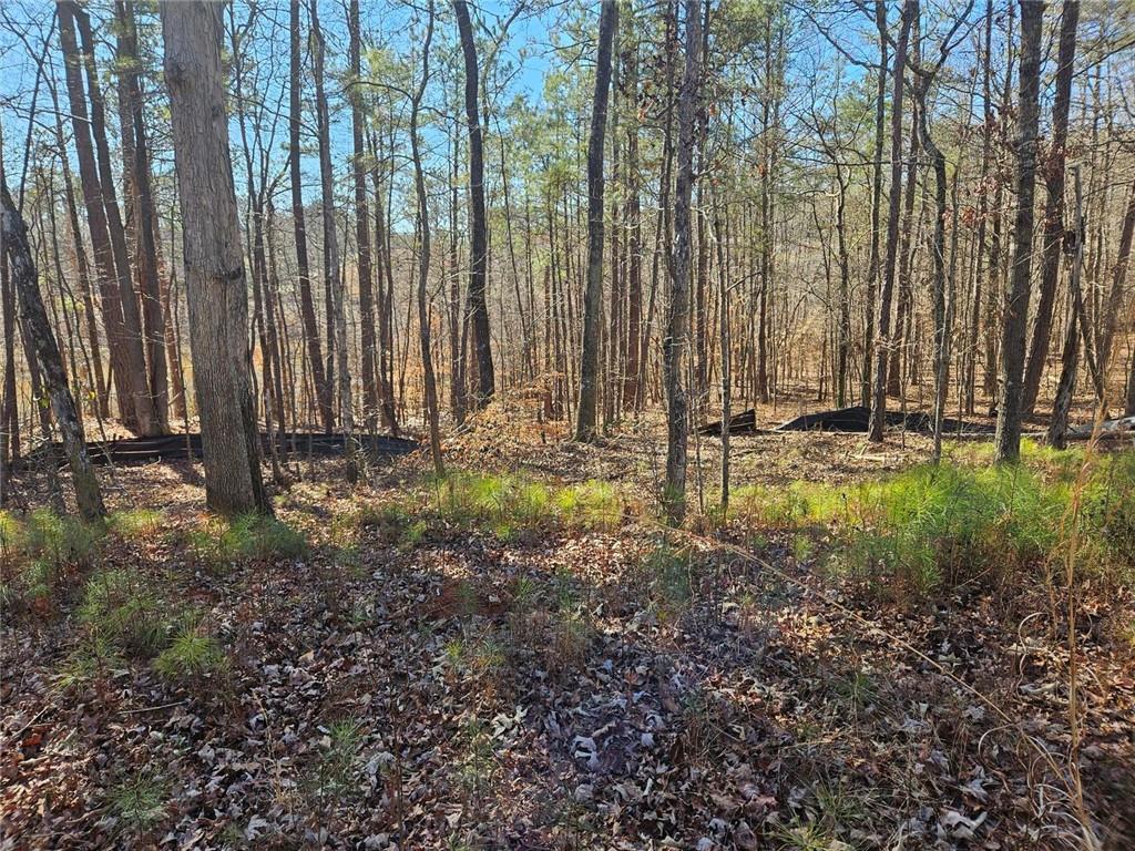 0 Glen Road Northeast Conyers, GA 30013 - Photo 3 of 6