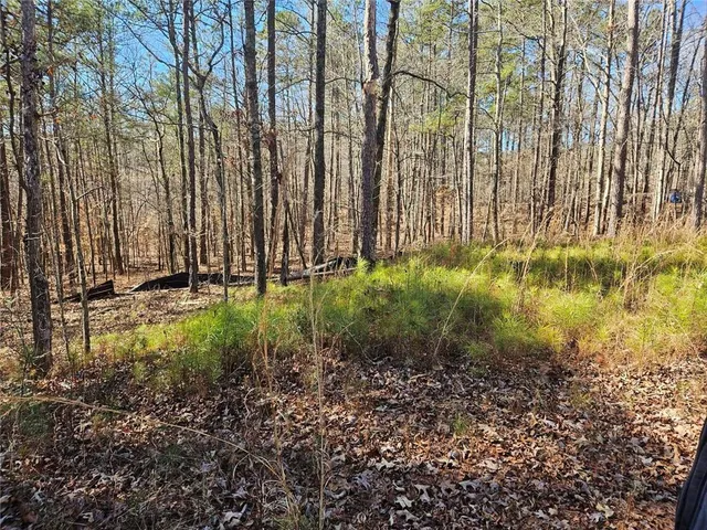 $55,000 | 0 Glen Road Northeast, Conyers, GA 30013