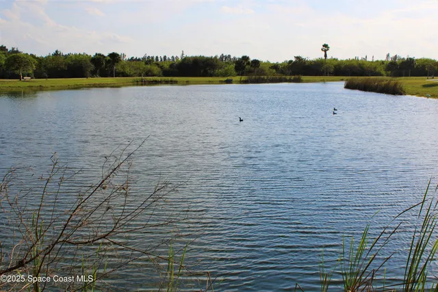 $2,900 | 106 Delvalle Street, Melbourne Beach, FL 32951