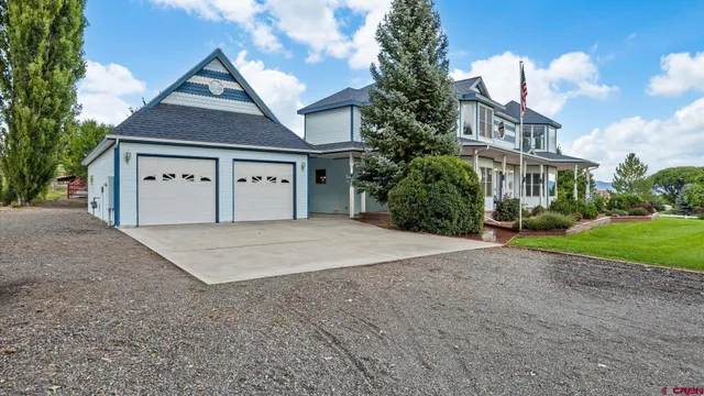 a view of backyard and tree