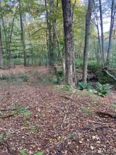a view of a forest with trees