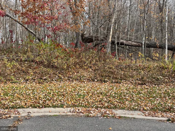 $28,710 | Lot 16 Wilderness Hills Lane, Luck, WI 54853